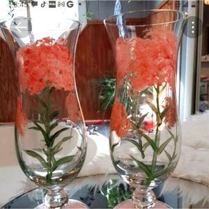 Hand Painted  Large Tropical  Glasses 7 T x 9 W